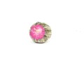 Lichi Plum 0,5kg 2.jpg