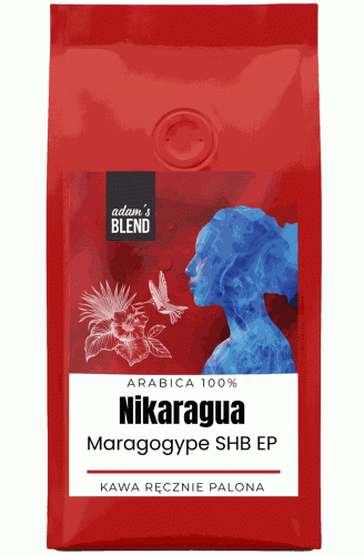 Nikaragua Maragogype SHB EP.gif